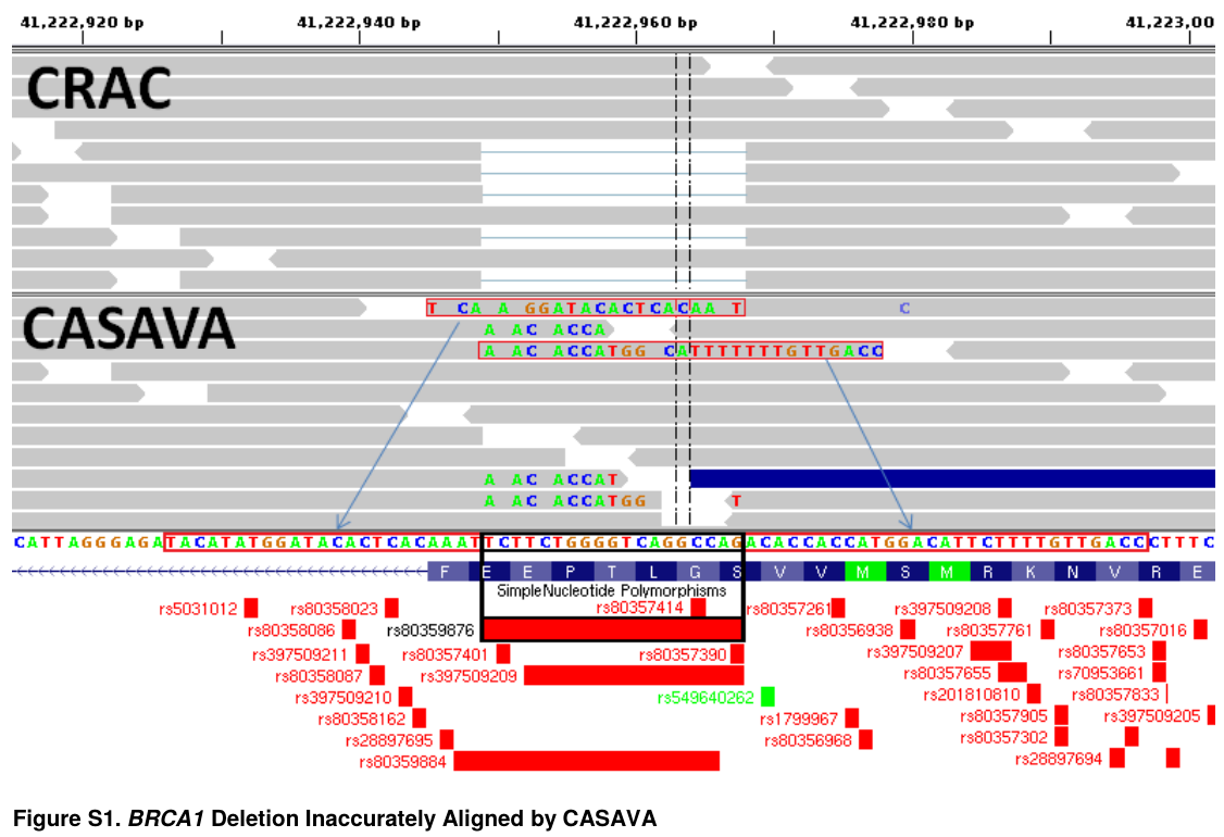 Mucaki et al's example